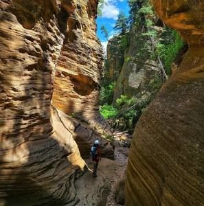 Meet your Posher, Newlyn